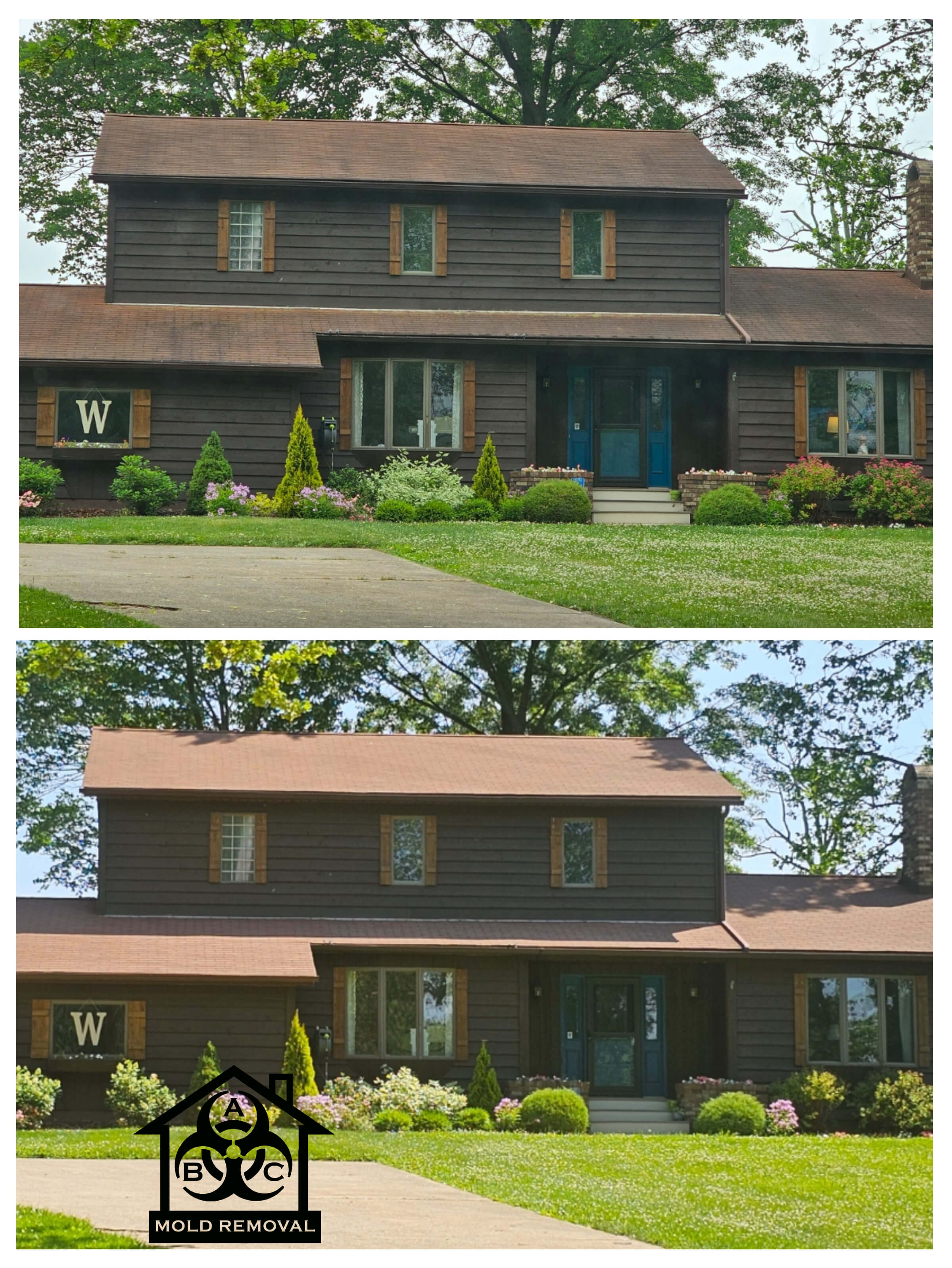 Roof Cleaning Before and After