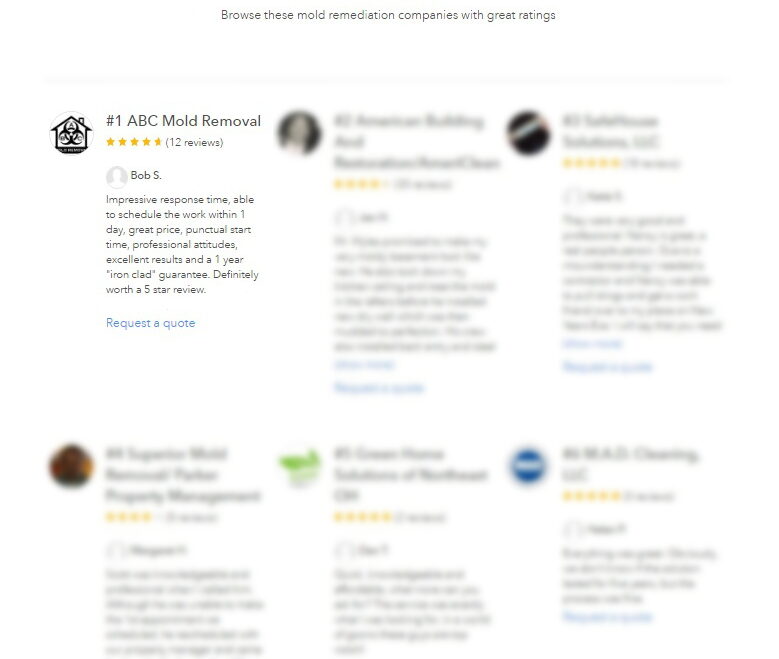 Ranked Best Mold Removal Company in our area