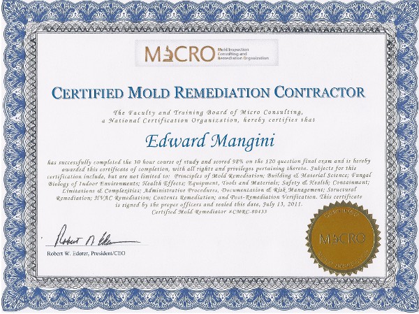 Certified Mold Remediation Contractor