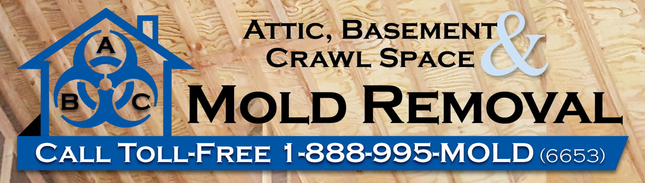ABC Mold Removal - Attic Basement and Crawl Space Mold Remediation Company