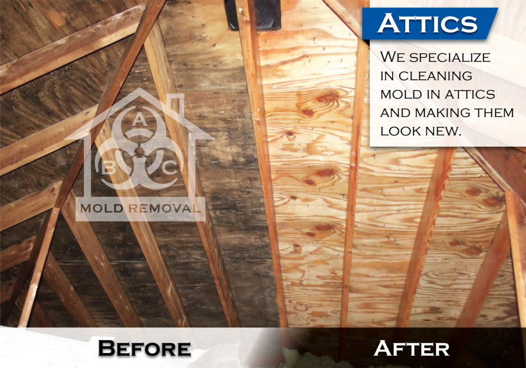 Attic Mold Before and After