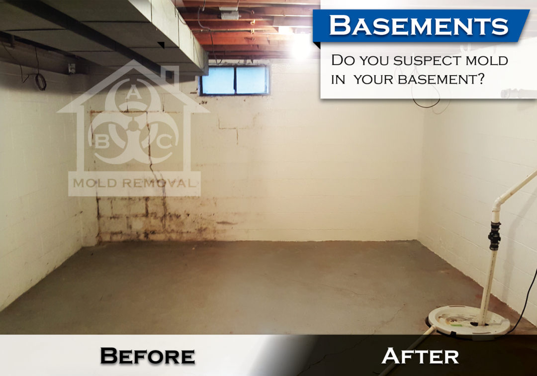 Basement Mold Before and After