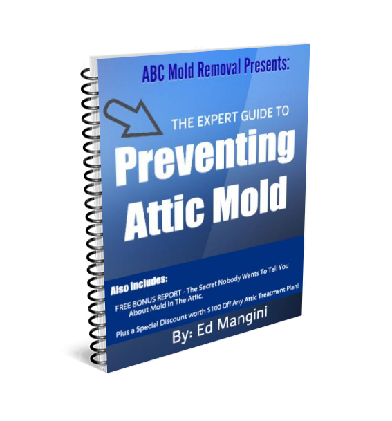 Attic Mold Prevention Guide